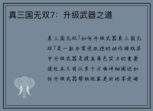 真三国无双7：升级武器之道